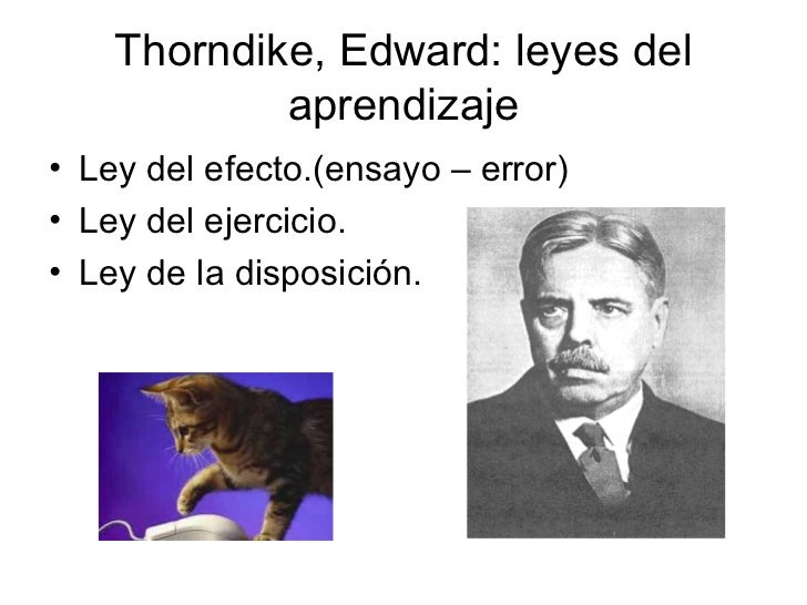 DIDACTICA: TEORIAS DEL APRENDIZAJE. THORNDIKE. EQUIPO 2. >aprendizaje-sntesis-4-728